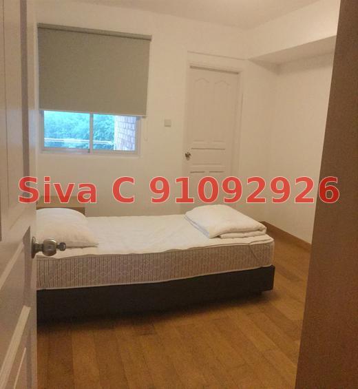 Pandan Valley (D21), Condominium #121323242